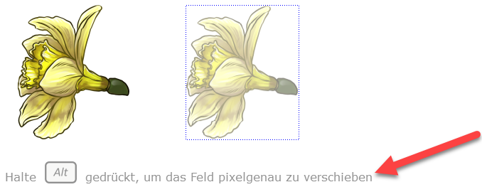 2017_2_PixelPreciseMovementHint_DE