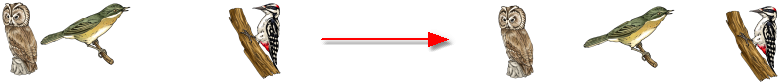 Felder_verteilen_sample_de